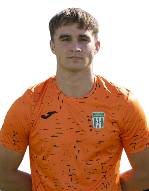 Miroslav Vlček